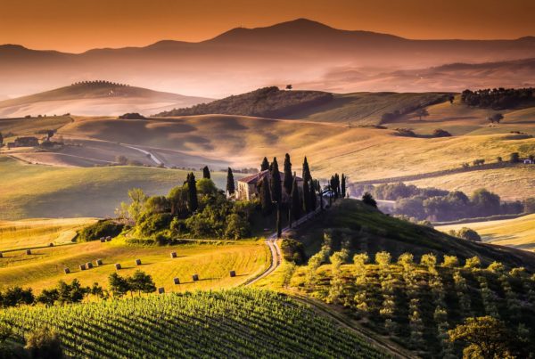 Best Tuscany wine tour