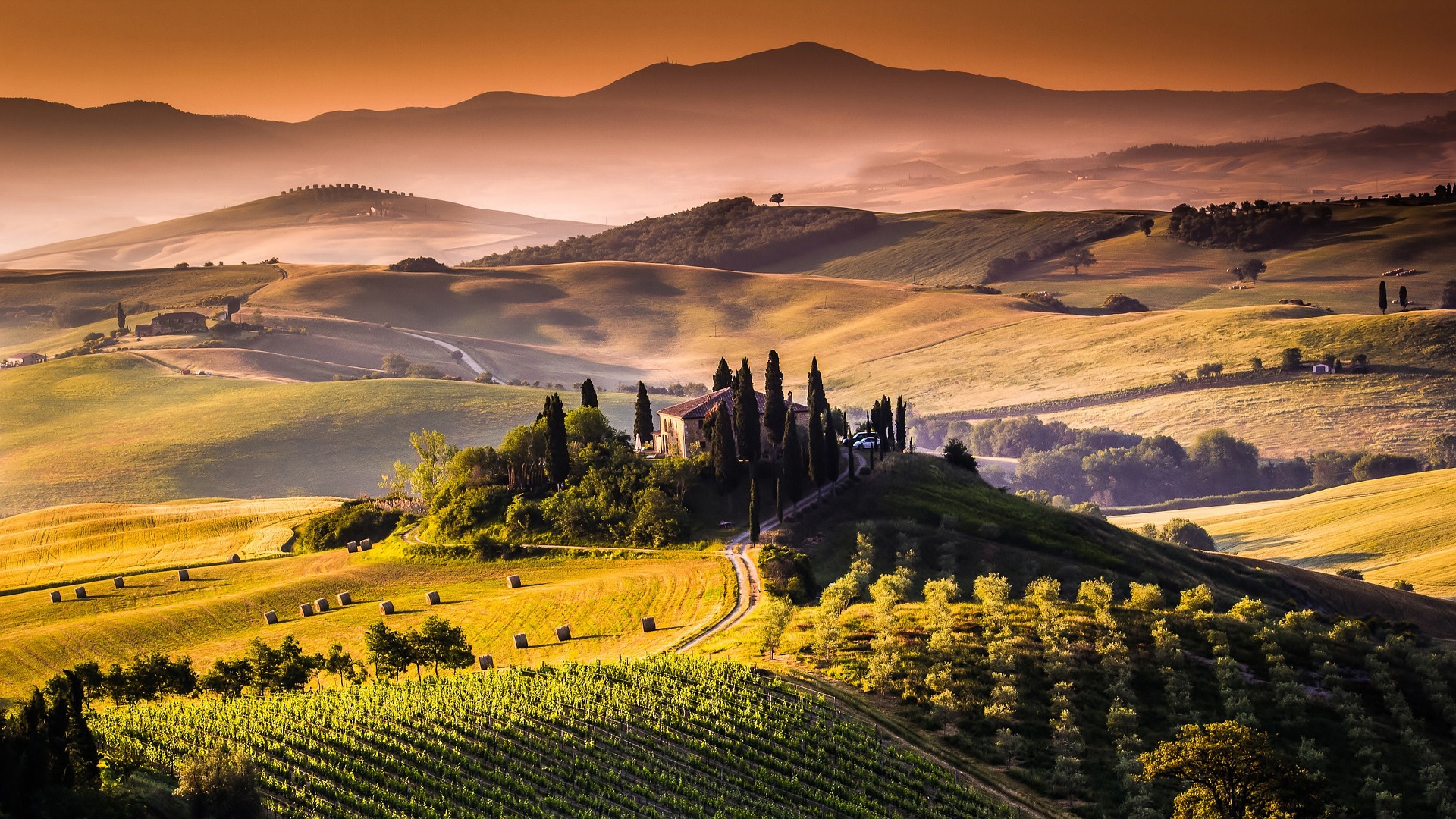 Best Tuscany wine tour